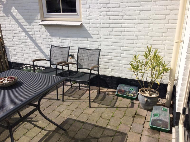 Carien_van-der-marel-producties-blog-tuin